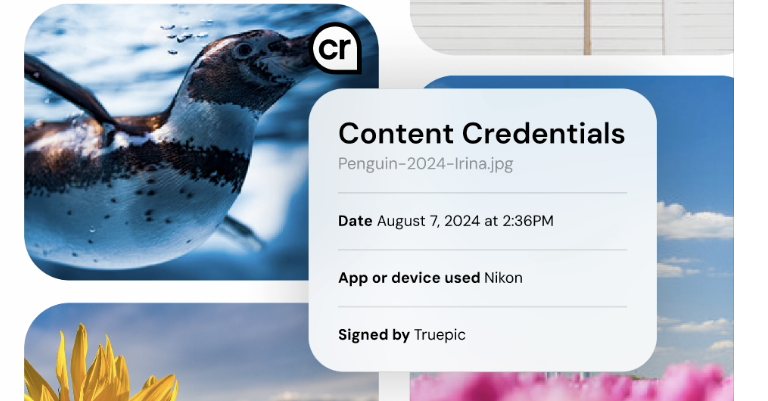 A photograph of a penguin with a small 'cr' pin in its corner, and beside it an opened Content Credentials panel for the file Penguin-2024-Irina.jpg reading Date: August 7, 2024 at 2:36PM; App or device used: Nikon; Signed by: Truepic