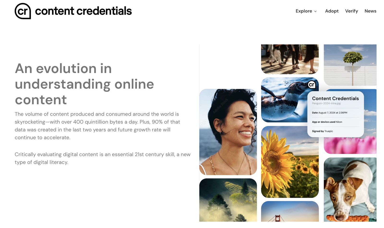 The contentcredentials.org home page: the 'cr' logo and the heading 'An evolution in understanding online content', with a mosaic of photographs, one of which, a penguin, carries the 'cr' pin and an opened Content Credentials panel. The navigation reads Explore, Adopt, Verify, News.